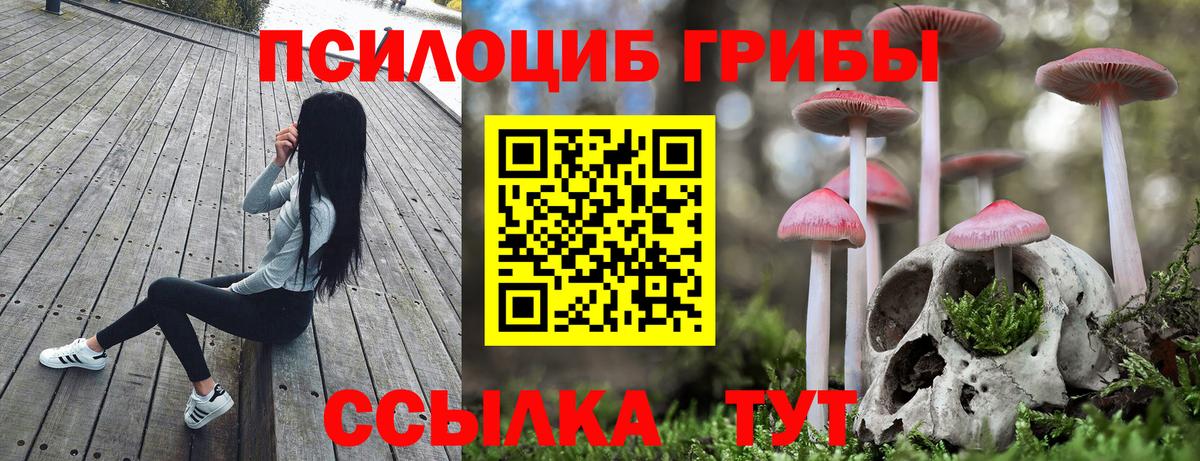 Галлюциногенные грибы Cubensis  Вход с VPN  купить наркотик  Омск 
